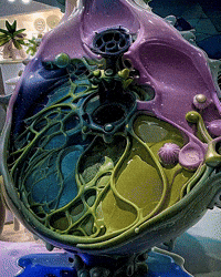 Bg Network GIF by Aleksey Efremov