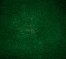 Ich Bin Ein Star Catwalk GIF by RTLde