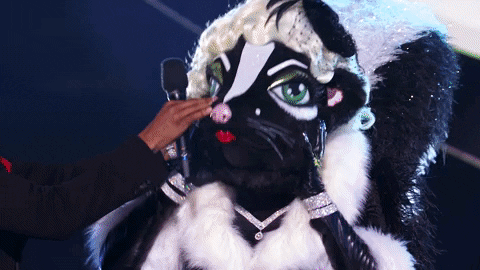 Season 6 Mask GIF by The Masked Singer