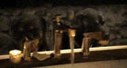 mtv justin bobby GIF by The Hills: New Beginnings