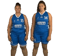 1511Dh Sticker by 4Consult / Binnenland