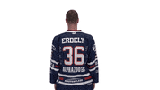 Celebration Goal GIF by Fehervar AV19