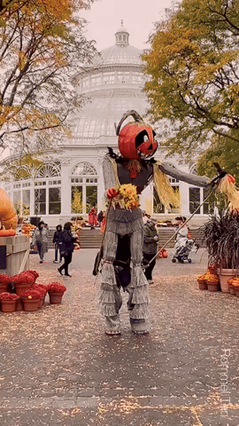 NeverFreakinMind giphyupload GIF