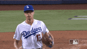 Regular Season Sport GIF by MLB