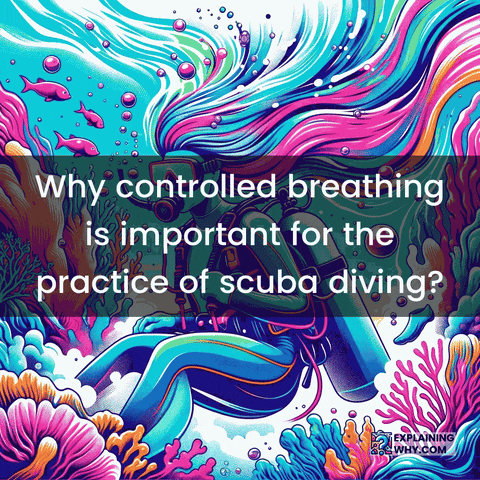 Scuba Diving Buoyancy GIF by ExplainingWhy.com