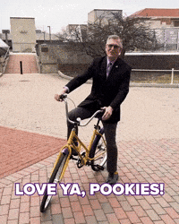 Panthers GIF by UNI Athletics