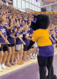 Panthers GIF by UNI Athletics