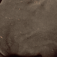 Tired Xena Warrior Princess GIF