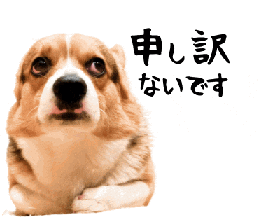 Corgi Milo GIF