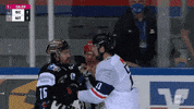 Fight GIF by Iserlohn Roosters