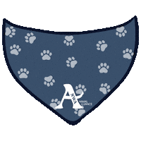 Spay Spaying Sticker by Big Paws of the Ozarks