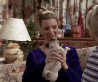 Season 4 Puppy GIF by Friends