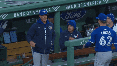 Blue Jays Baseball GIF by Toronto Blue Jays