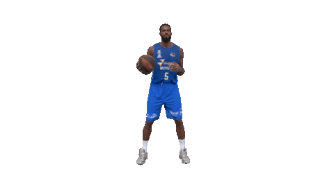 Liga Endesa Basketball Sticker by ACB