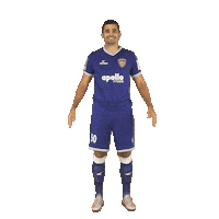 Indian Football Sticker by Indian Super League
