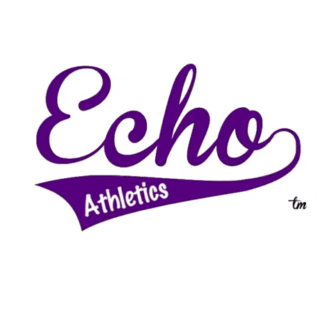 echoathletics giphygifmaker echo kickball echoathletics GIF
