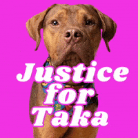 Justice Taka GIF by RescueMeATL