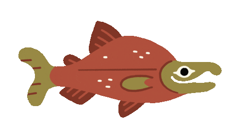 nepeteaa giphyupload fish fishing cm Sticker