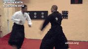 ninjutsu GIF by AKBAN Academy