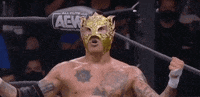 Aew On Tnt Lucha Bros GIF by All Elite Wrestling on TNT
