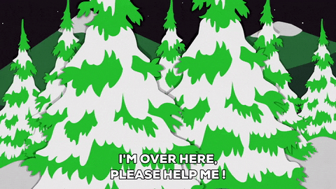 what the? tree GIF by South Park 
