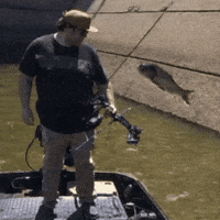 Floating Flying Fish GIF