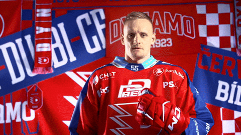 Tomas Vondracek GIF by HC Dynamo Pardubice