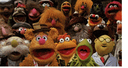 muppetwiki  GIF