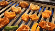 Anime Food I Want To Eat Your Pancreas GIF
