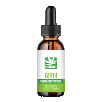 Cbd Sticker by Get Budd