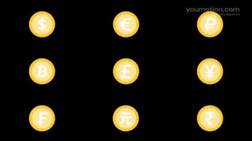 Animated Currency Coin Symbols | Video |You Motion