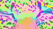 cat GIF by Phazed