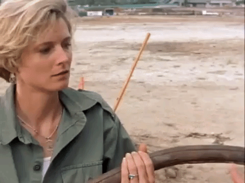 the mystery files of shelby woo nicksplat GIF