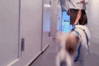 Let's go on a walk