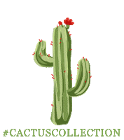 Cactus Sticker by Fresh Line