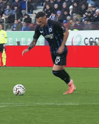 Supporters Blauw-Zwart GIF by Club Brugge