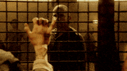 michael scofield fox GIF by Prison Break