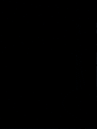 Dance Wow GIF