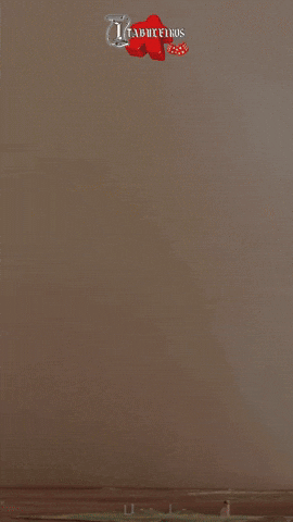 https://media3.giphy.com/media/v1.Y2lkPTc5MGI3NjExYTdvYnJja2l5cngxdHdkM3BpMWpqMm95ZWFhemZvaXA0bGw2OGV4aSZlcD12MV9pbnRlcm5hbF9naWZfYnlfaWQmY3Q9Zw/Iw0VlOts3dBt5LccaU/giphy.gif