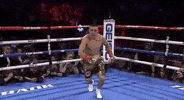 toprank fight boxing fighting espn GIF