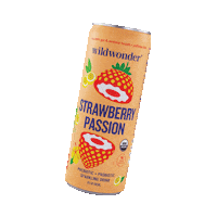 drinkwildwonder organic strawberry probiotic gut health Sticker