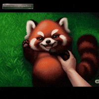 Red Panda GIF