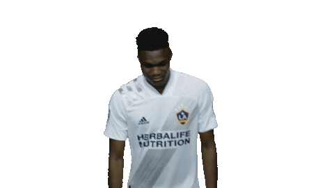 Los Angeles Football Sticker by LA Galaxy