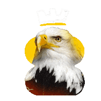 Ldd Sticker by Libraria de Design