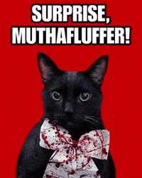 mannycat dexter black cat doakes surprise motherfucker GIF