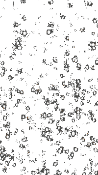 Christmas Snow Sticker by Bussel United