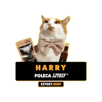 Cat Harry Sticker by Sztosy.co