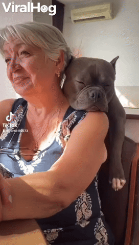 Bully Takes Big Nap on Grandma's Shoulder