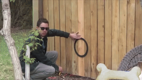 HeavyDutyDogHarness1 giphygifmaker giphyattribution GIF