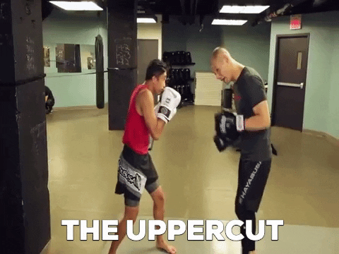 ritchieyip giphygifmaker boxing kickboxing uppercut GIF